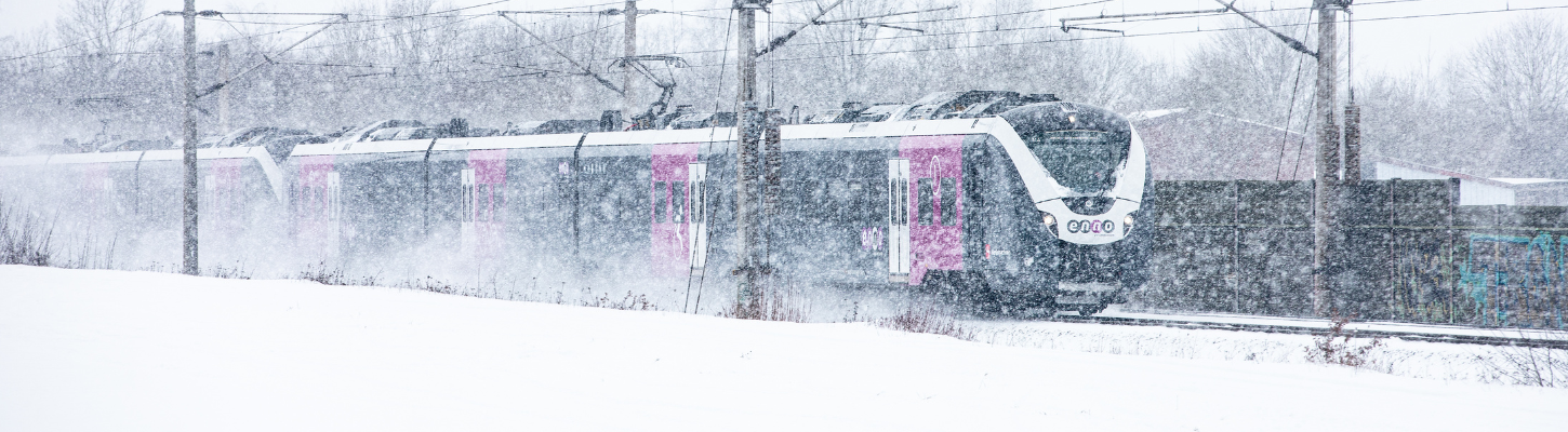 Teaser enno winter